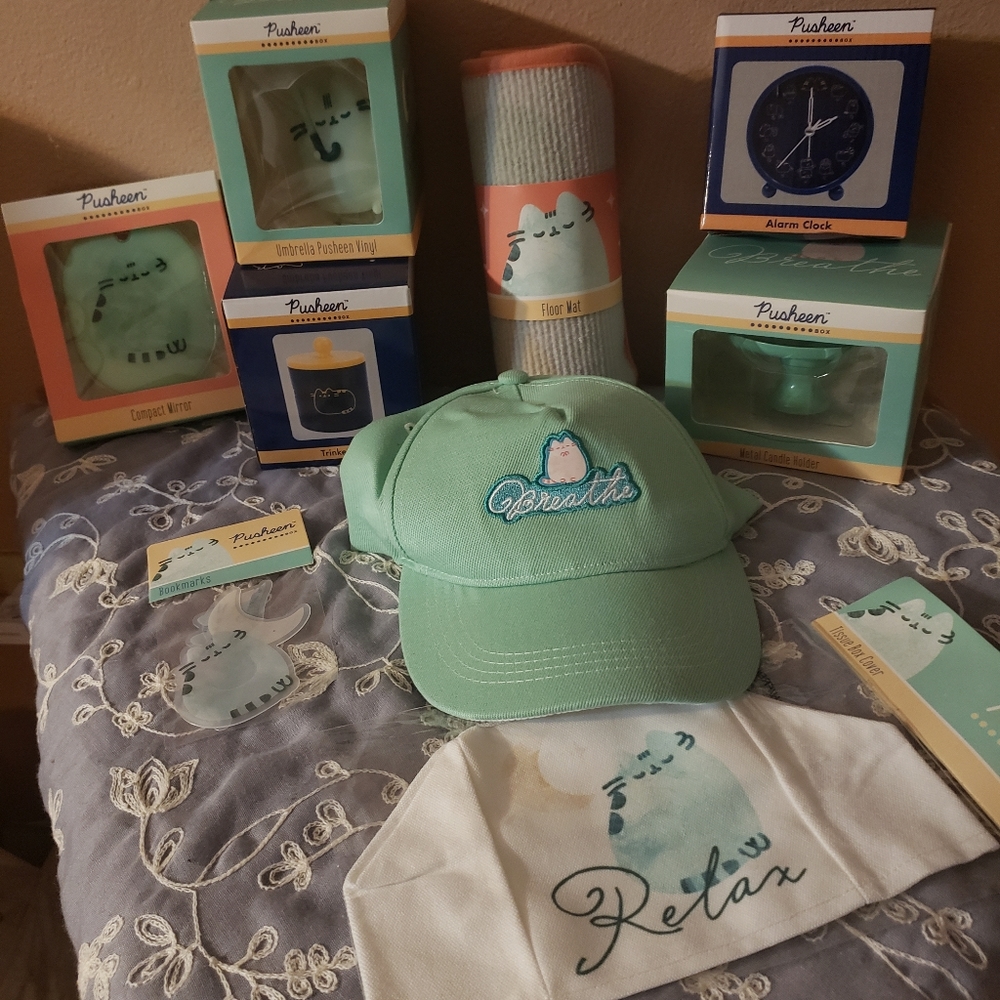 Pusheen items